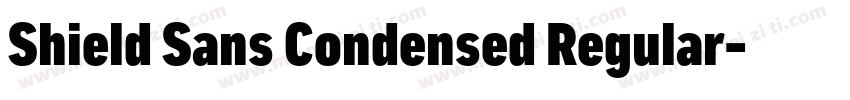 Shield Sans Condensed Regular字体转换